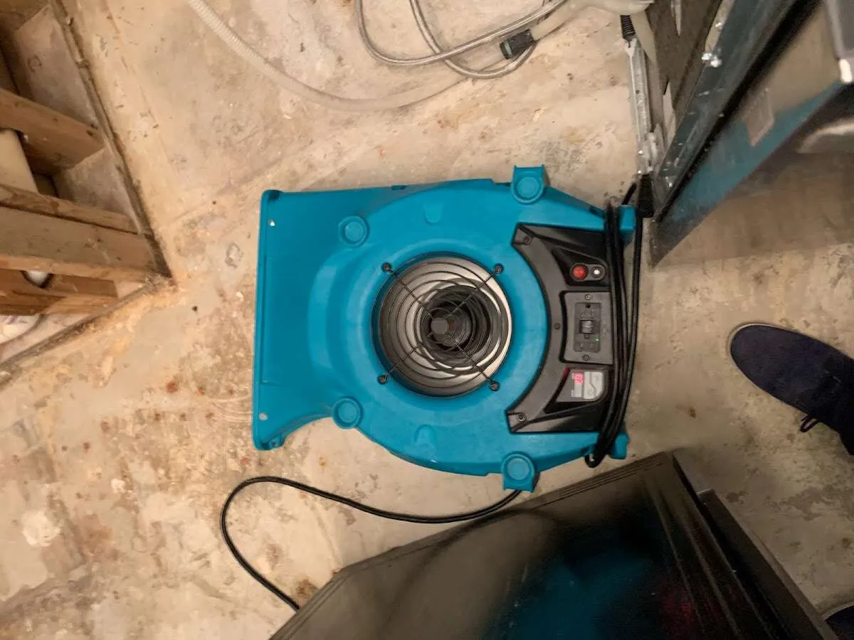 Air mover drying equipment for Mold Remediation & Removal in Waltham